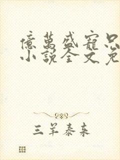 亿万盛宠只为你小说全文免费阅读