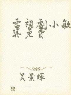 电视剧小敏家全集免费封面