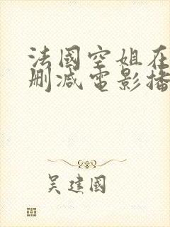 法国空姐在线无删减电影播放封面