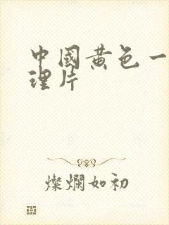 中国黄色一级伦理片