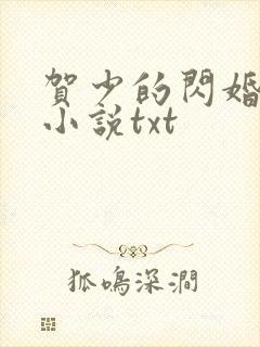 贺少的闪婚暖妻小说txt