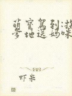 萌宝驾到:拐个爹地送妈咪好看封面