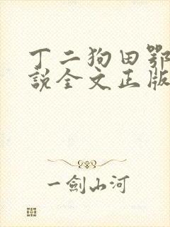 丁二狗田鄂茹小说全文正版免费阅读