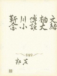 靳川傅柏文沈念念小说大结局封面