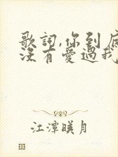 歌词,你到底有没有爱过我