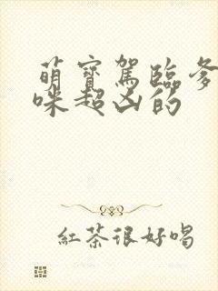 萌宝驾临爹地妈咪超凶的