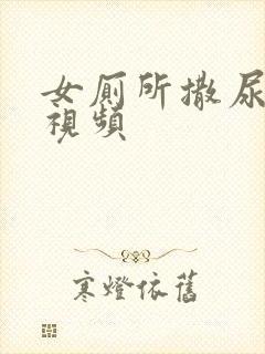 女厕所撒尿偷拍视频