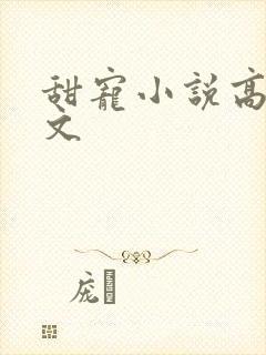 甜宠小说高甜宠文封面