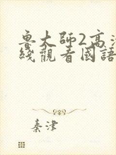 鲁大师2高清在线观看国语版封面