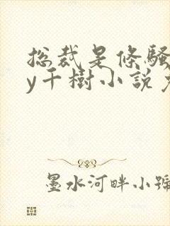 总裁是条骚狗by千树小说免费阅读