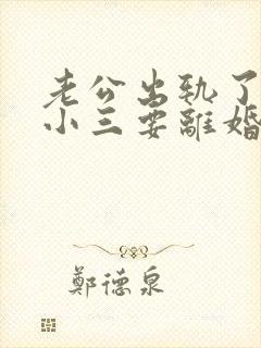 老公出轨了为了小三要离婚封面