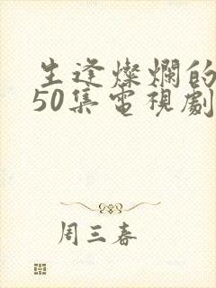 生逢灿烂的日子50集电视剧完整