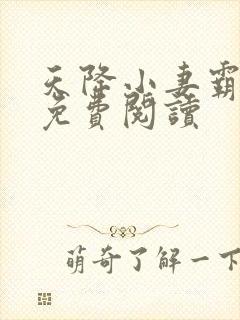 天降小妻霸道宠免费阅读