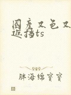 国产又色又爽无遮挡ts