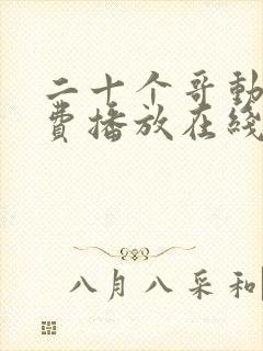 二十个哥动漫免费播放在线观看