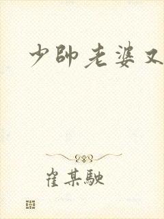 少帅老婆又跑啦封面