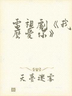 电视剧《我该怎么爱你》