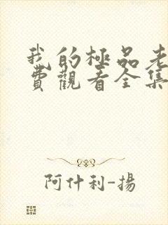 我的极品老婆免费观看全集电视剧