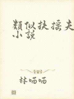 类似扶摇夫人的小说封面