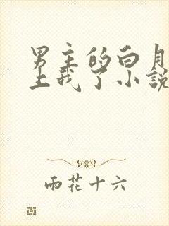 男主的白月光看上我了小说免费阅读
