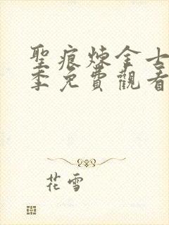 圣痕炼金士第三季免费观看在线