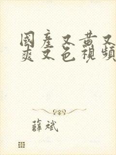 国产又黄又骚又爽又色视频