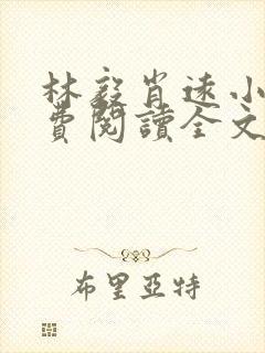 林毅肖远小说免费阅读全文最新章节