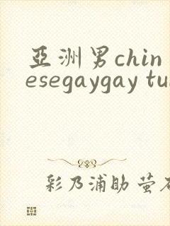 亚洲男chinesegaygay tube