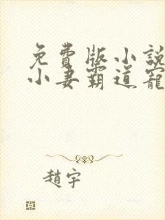 免费版小说天降小妻霸道宠封面