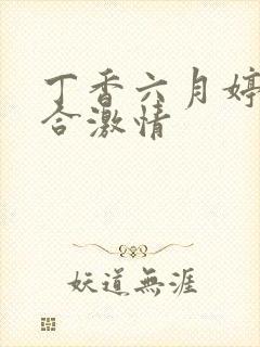 丁香六月婷婷综合激情