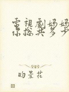 电视剧妈妈在等你总共多少集