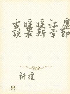 古暖暖江尘御小说最新章节阅