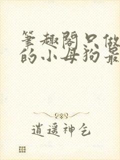 笔趣阁只做爸爸的小母狗最新章节更