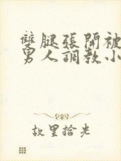 双腿张开被9个男人调教小说