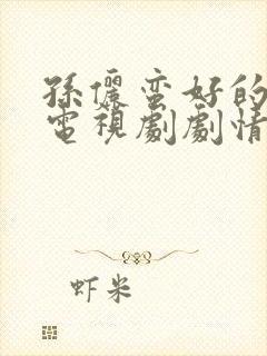 孙俪蛮好的人生电视剧剧情介绍封面