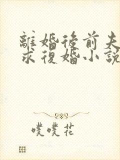 离婚后前夫哭着求复婚小说结局