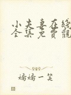 小夫妻在线观看全集免费观看高清