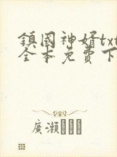 镇国神婿txt全本免费下载