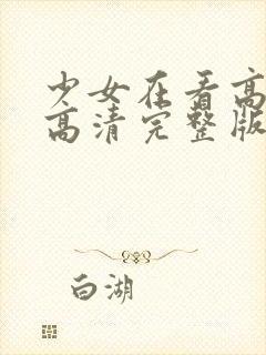 少女在看高清,高清完整版在线观看