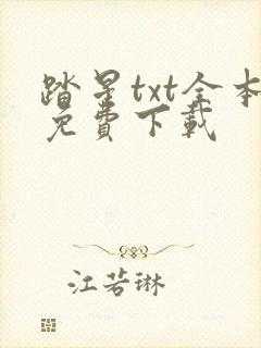 踏星txt全本免费下载