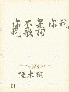 你不是你我不是我歌词