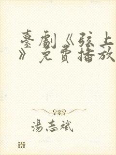 台剧《弦上光年》免费播放全集