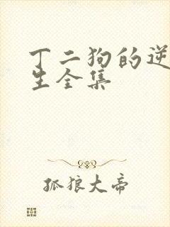 丁二狗的逆袭人生全集