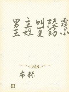 男主叫陆霆琛女主姓夏的小说