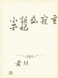 小说盛宠重生世子妃