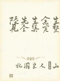 陆先生余生不再见全集完整版