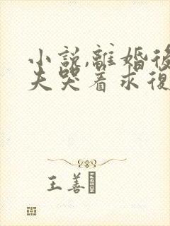 小说,离婚后前夫哭着求复婚