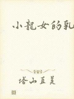 小龙女的乳头