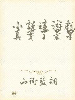 小说这游戏也太真实了晨星ll全篇