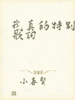 我真的特别爱你歌词